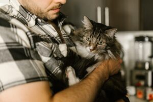 Don’t Forget To Protect Your Furry Family: Estate Planning for Your Pets