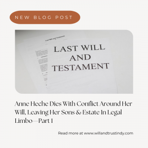 Anne Heche Dies With Conflict Around Her Will, Leaving Her Sons & Estate in Legal Limbo-Part 1